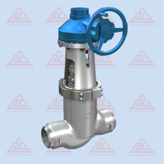 Forged steel globe valve